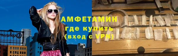 крисы Мегион