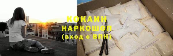 крисы Мегион