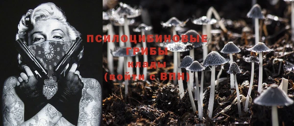 крисы Мегион