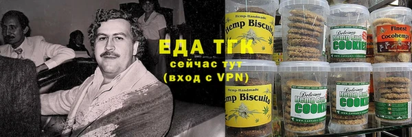крисы Мегион
