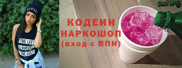 крисы Мегион