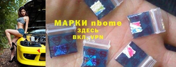 крисы Мегион