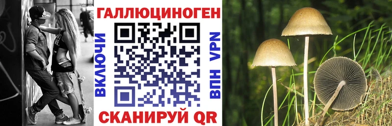 Псилоцибиновые грибы MAGIC MUSHROOMS  Нестеровская 
